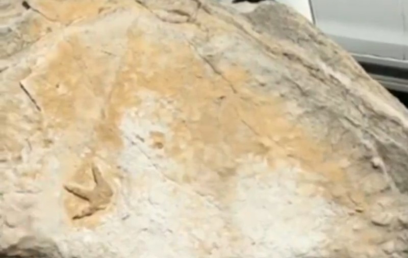 Urme de dinozaur vechi de 200 de milioane de ani, descoperite într-o școală din Australia: „Nimeni nu le-a băgat de seamă timp de 20 de ani” | VIDEO