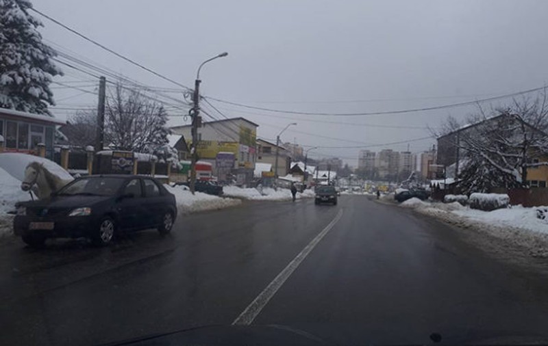 Cal tras cu sfoara de mașină în Pitești. Șoferul ar putea fi amendat