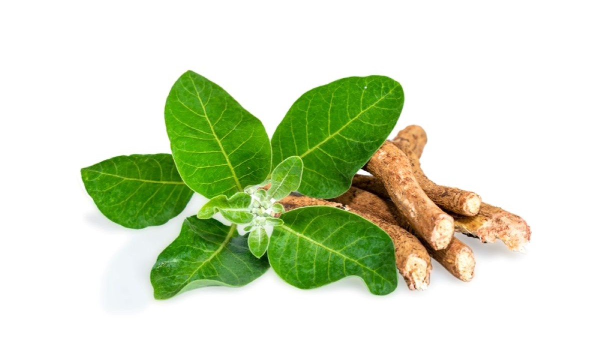 Ce este ashwagandha și ce beneficii are