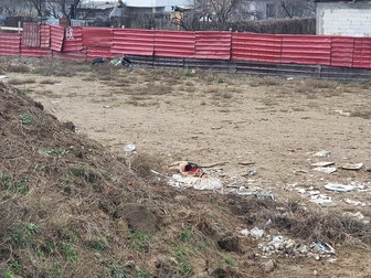 Gunoaie peste tot, inclusiv jumătăți de porc