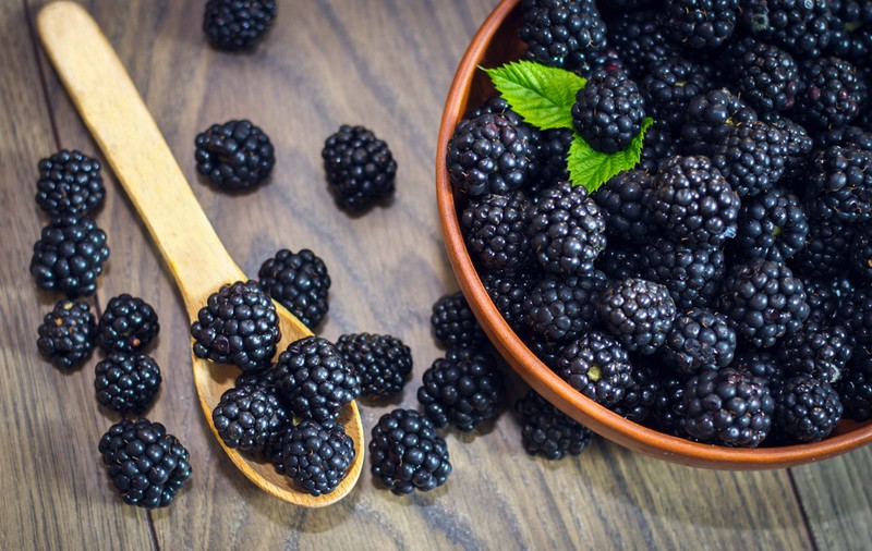 Mure - plantare, îngrijire și recoltare. Beneficiile consumului de mure