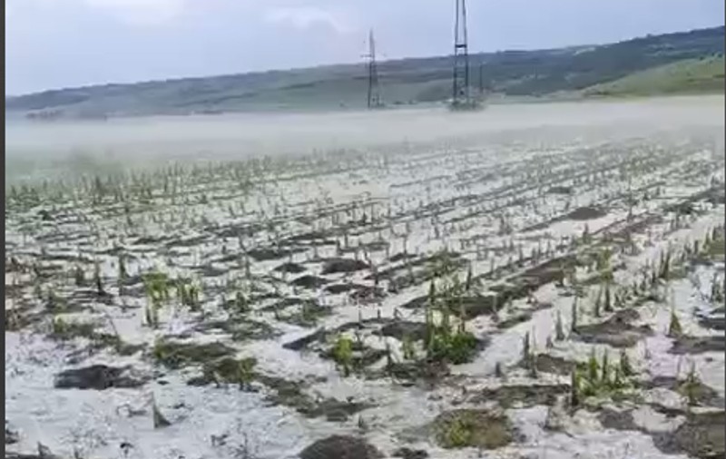 Grindină și averse lângă Huși, în județul Vaslui: gheața a afectat culturile agricole