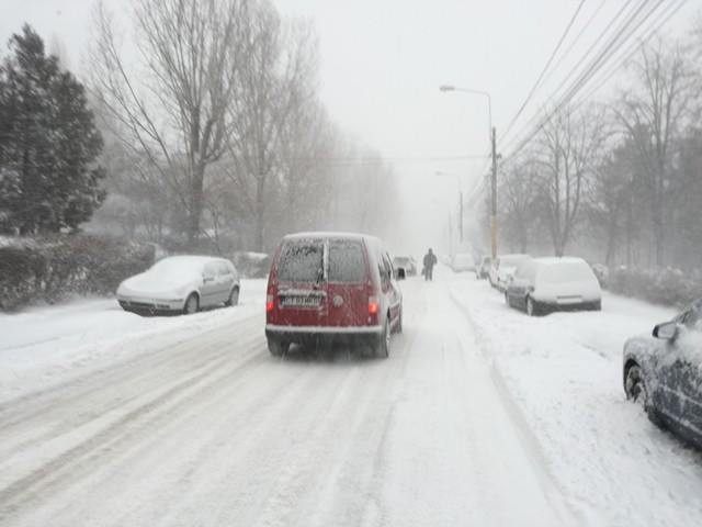 Arhiva foto