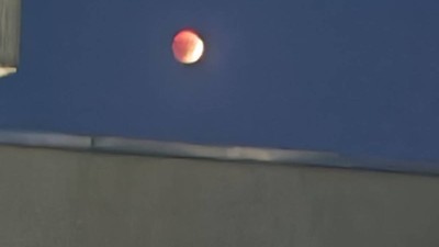 echilpsa luna sangerie 2025