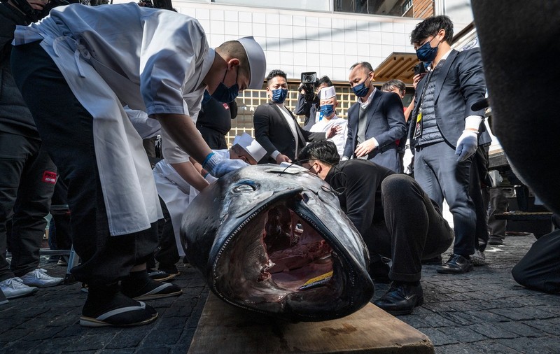 Suma record cu care s-a vândut un ton roșu de 212 kilograme la Tokyo