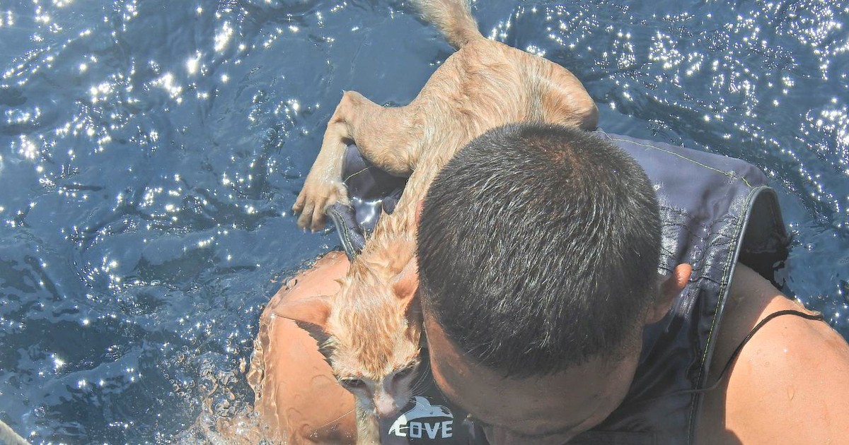Arhiva foto
