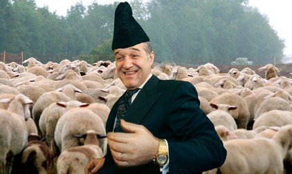 Arhiva foto