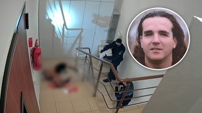 Colaj impuscatura 2 (1)