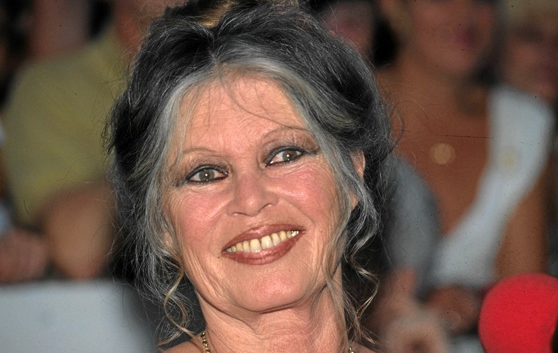 Brigitte Bardot și relația complicată cu fiul ei: „Mai bine aveam un câine decât un copil”. Cine e Nicolas-Jacques Charrier