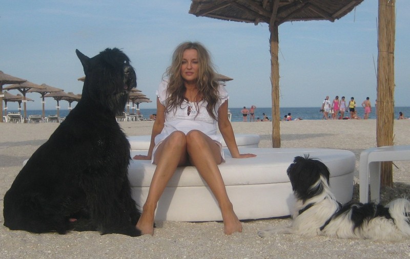 Tania Budi, de nerecunoscut! Cum arată cu părul scurt | FOTO ÎN ARTICOL