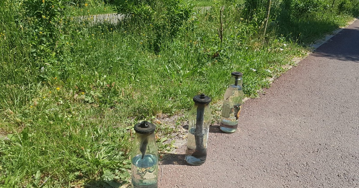 Sticle incendiare în fața PSD Timis