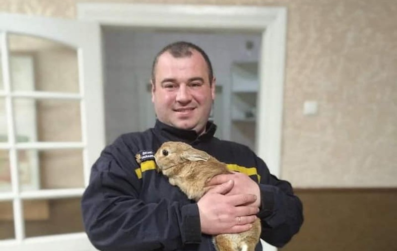 Pompierii din Harkov au adoptat un iepuraș găsit într-un bloc bombardat. „L-am scos din apartamentul în flăcări”
