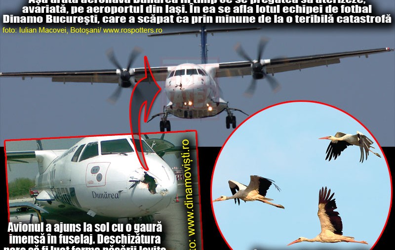 Dinamoviştii au scăpat ca prin minune!