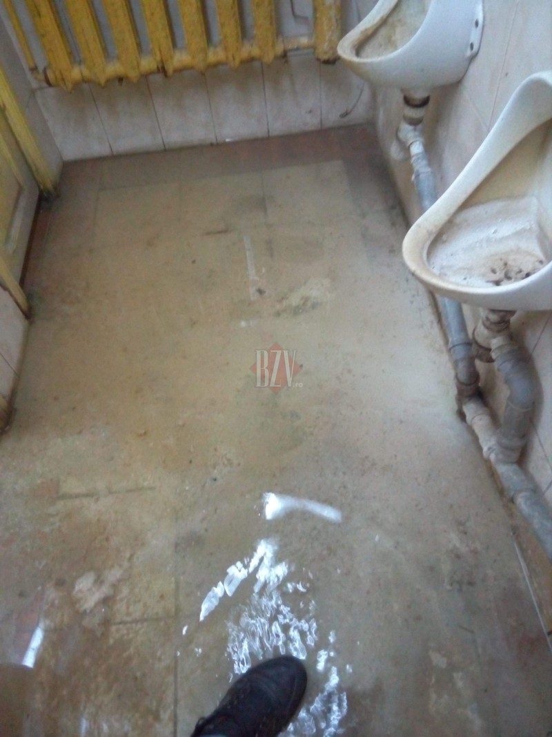 Arhiva foto