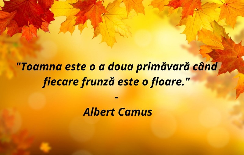 Citate frumoase despre toamnă