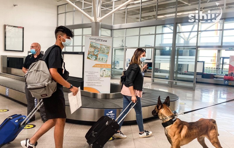 Câini care depistează COVID-19, folosiți pentru prima dată în România, la aeroportul din Sibiu