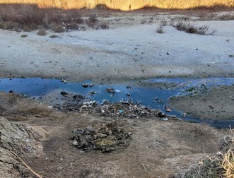 Albia unui râu din comuna Poiana Lacului a fost transformată în groapă de gunoi. Sursa foto: Cristian Nicula