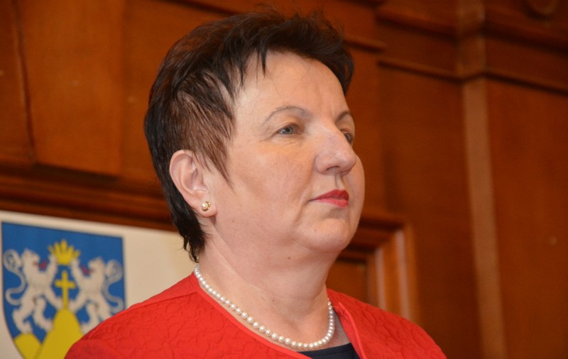 Criza de la Suceava și politizarea: șefa DSP e economistă, fost subprefect susținut de ALDE, PSD, dată jos de PNL și pusă înapoi tot de PNL