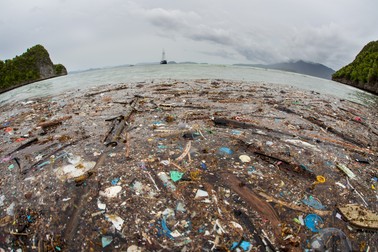 ”Marea insulă de Plastic” din Pacific