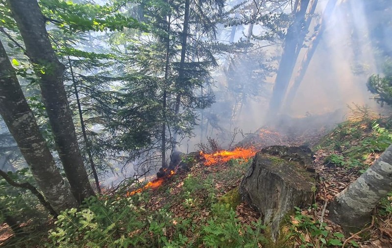 Incendiu în Munţii Rodnei. Ard aproape şase hectare de pădure şi teren, pompierii intervin pentru lichidarea flăcărilor