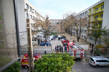 Blocurile unde s-a făcut dezinsecția