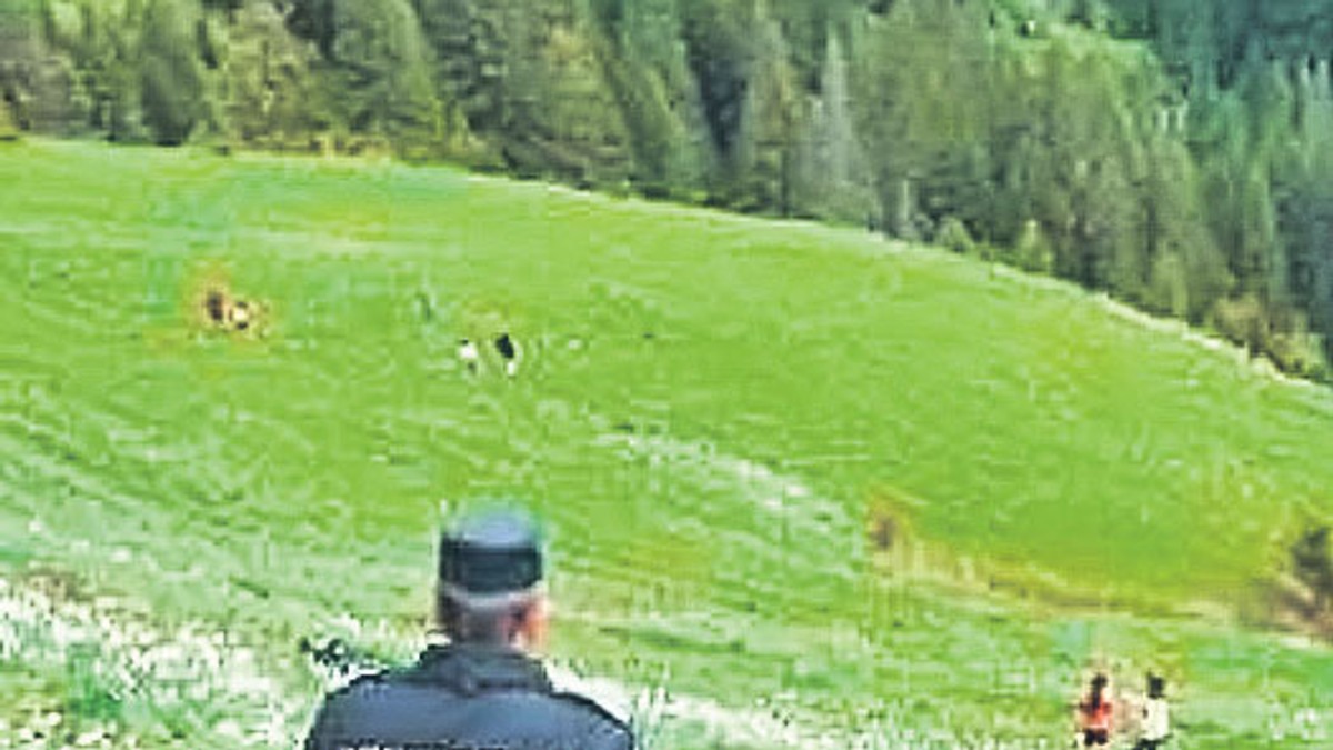 Arhiva foto