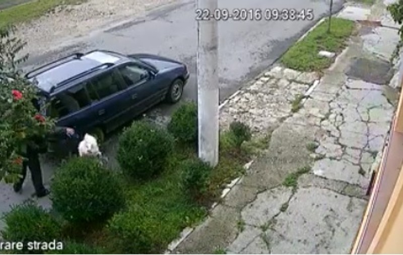 A aruncat cadavrul unui câine pe stradă! Mii de oameni l-au căutat pe Facebook