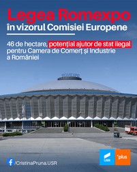 Imaginea care a însoțit postarea vicepreședintei Camerei Deputaților Cristina Prună | Sursa: Facebook