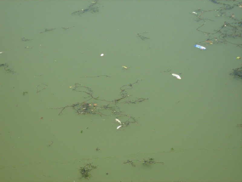 Arhiva foto