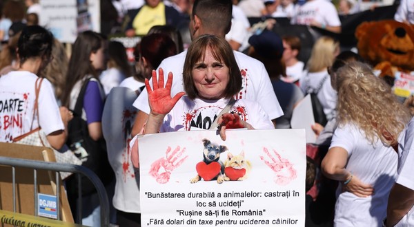 O femeie aflată în mijlocul protestatarilor își ridică palma acoperită cu vopsea roșie și ține o pancartă cu imaginile unui cățel și ale unei pisici alături de mesaje de protecție a animalelor.