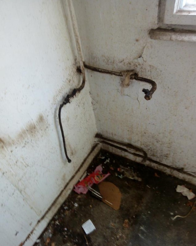FOTO/ Apartamentele repartizate medicilor de la Spitalul de Psihiatrie Galați, pline de gunoaie, cu pereți scorojiți, țevi ruginite și geamuri sparte