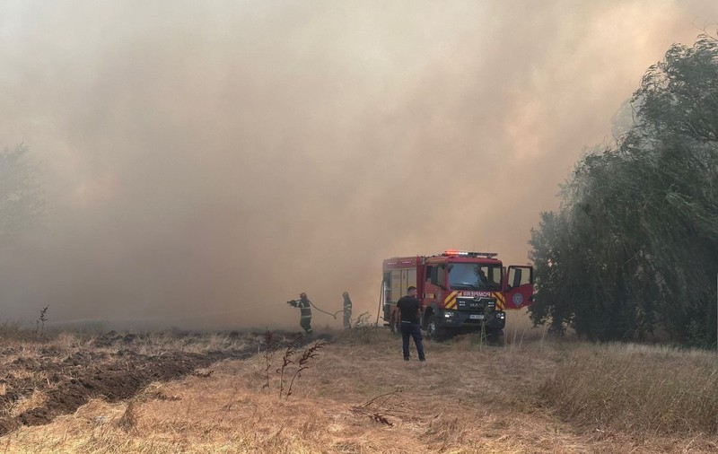 Incendiu de vegetație uscată lângă un cămin de bătrâni din județul Constanța. Vârstnicii, evacuați, traficul feroviar și rutier, oprit în zonă