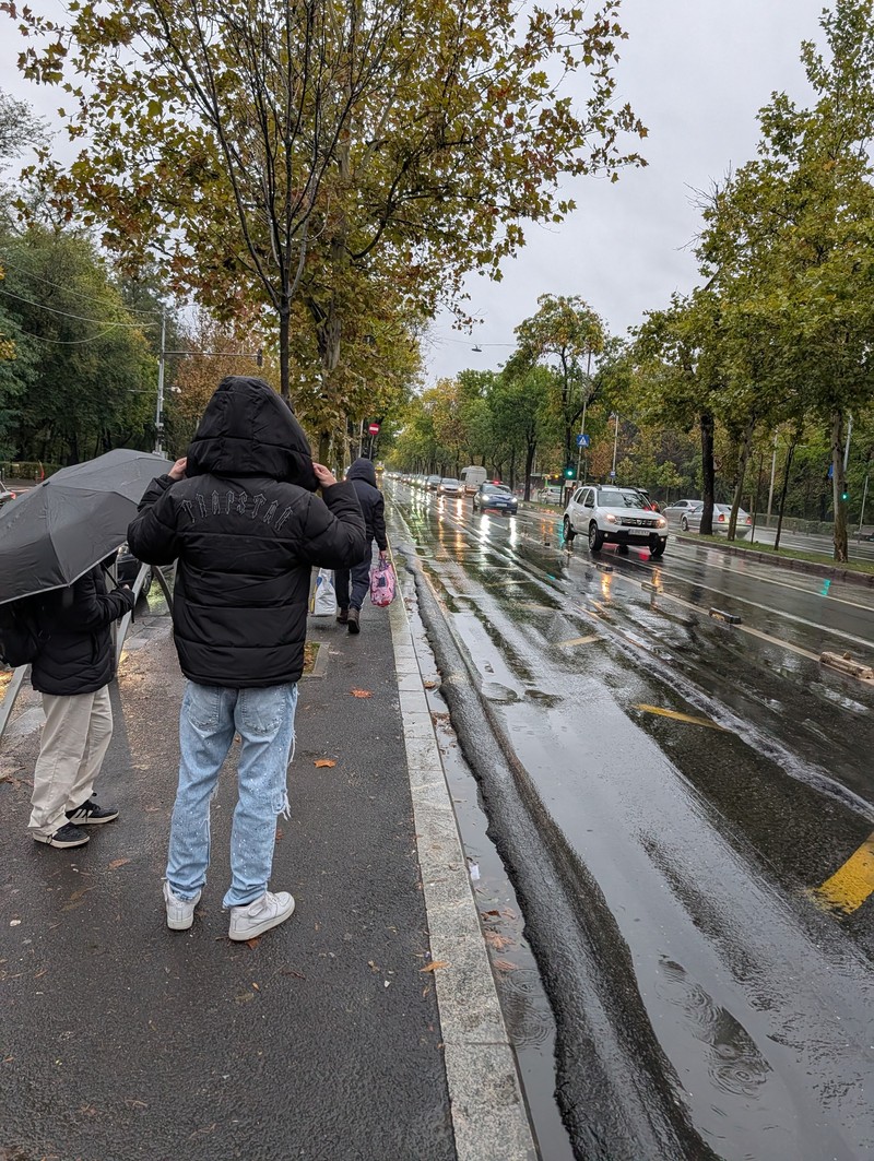 Stație de autobuz, fără refugiu. Foto: Facebook / Cătălin Drulă