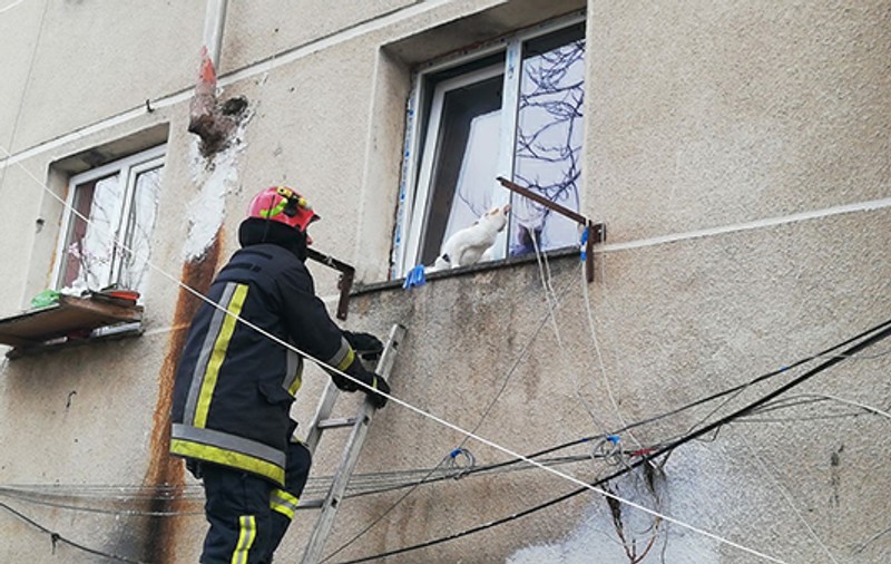 FOTO. Pompierii din Vaslui, mobilizați pentru salvarea unei pisici prinsă într-o fereastră batantă