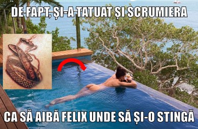 Arhiva foto