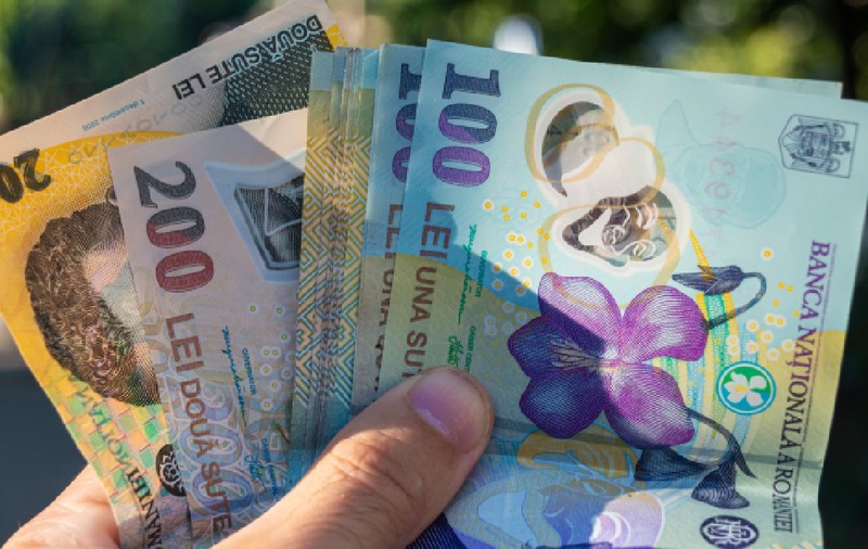 Indemnizația de hrană rămâne plafonată la 347 de lei pe lună. Care sunt angajații de la stat care pot să o primească