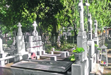 Arhiva foto
