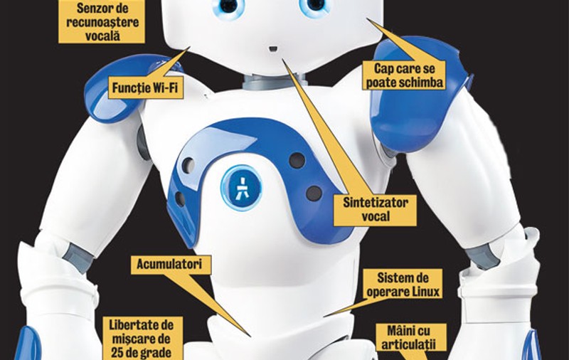 El este primul roboţel sensibil