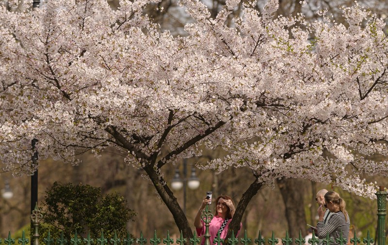 Cum va fi vremea în minivacanța de 1 Mai și de Paște. Temperaturi peste normal și ploi în următoarele 4 săptămâni