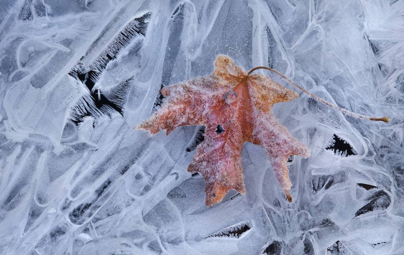 METEO. După ninsori, vom îndura un nou val de GER