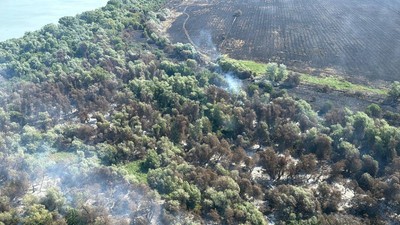 incendiu vegetatie chilia veche tulcea