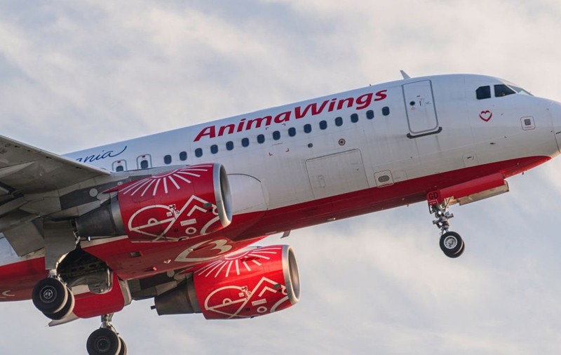 O aeronavă Animawings (Airbus A320-214) cu numărul de înmatriculare YR-AGD, surprinsă în timp ce decolează de pe pistă. Sursă foto: Shutterstock