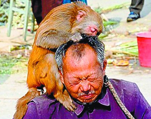 Arhiva foto