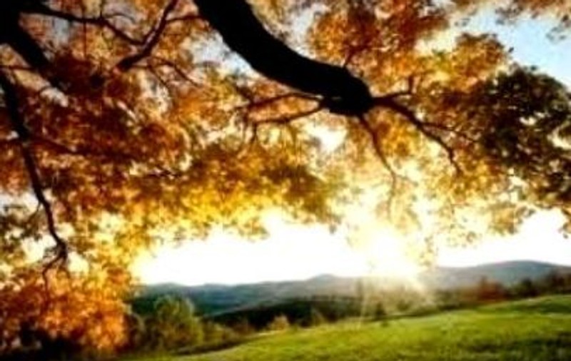 Prognoza meteo pentru 10 septembrie 2019. Vremea rămâne în continuare caldă