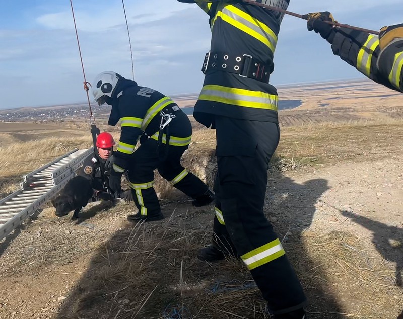 Un câine căzut într-o groapă de 30 de metri a fost salvat după trei zile de pompierii din Tulcea. VIDEO