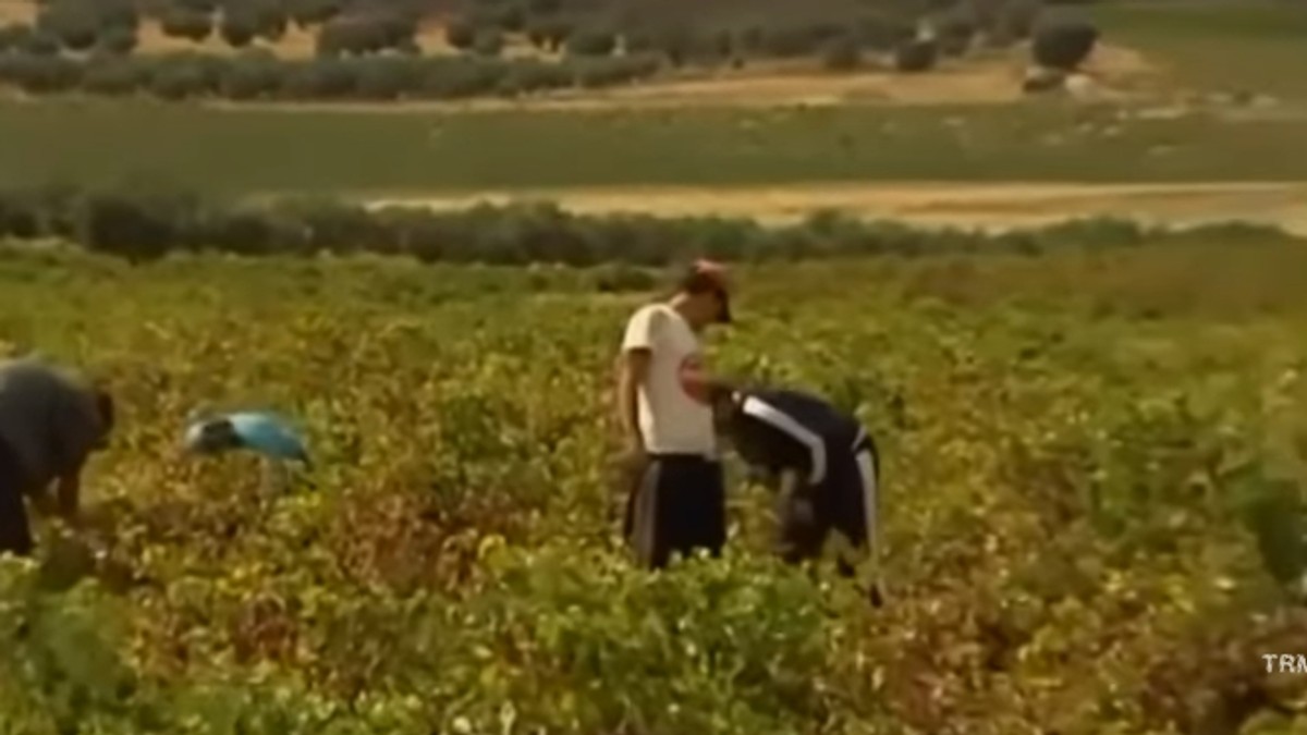 Un patron italian și concubina româncă, ambii aflați în arest la domiciliu, au continuat să-și exploateze muncitorii!
