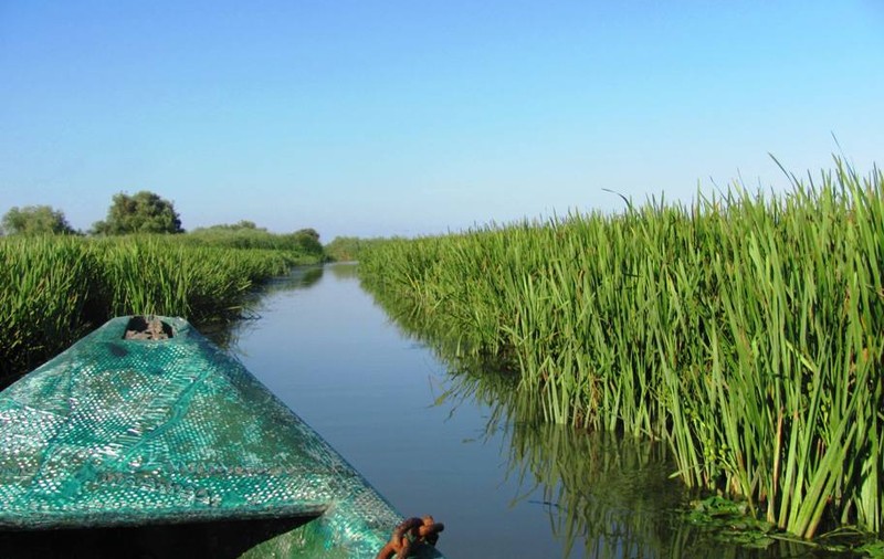 (P) Descoperă Delta Dunării, într-un weekend prelungit la Gulliver Delta Resort