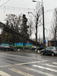Copac căzut pe strada Emil Racoviță: Foto Facebook Info Trafic Rutier București-Ilfov