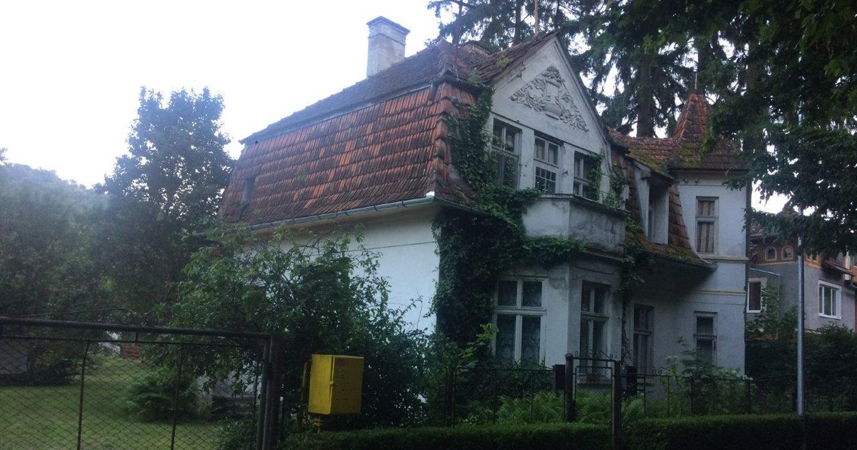 Arhiva foto