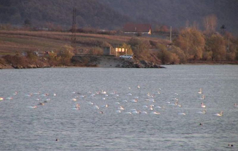 Persoană dispărută pe Dunăre. Pompierii au început căutările